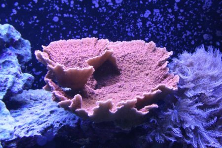 IMG_1927.jpg