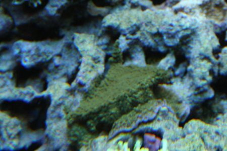 IMG_1784.jpg