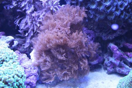 IMG_1925.jpg
