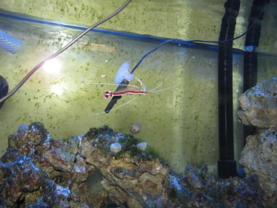 Riding the thermometer.jpg