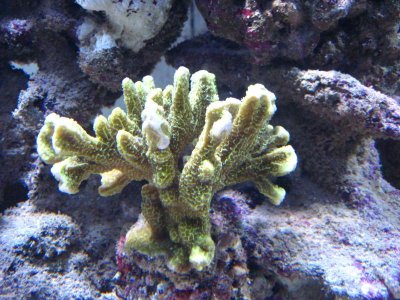 IMG_2950.jpg