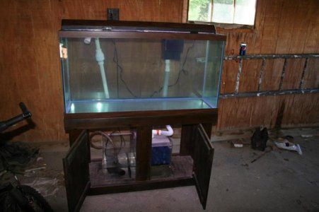 reef 042.jpg