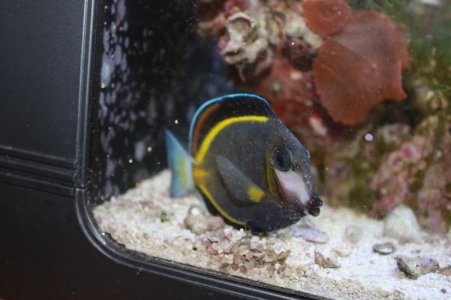 Fish and malibu 080.jpg