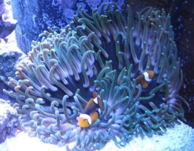 LTA with clowns hosting.jpg