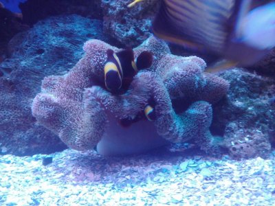 2010-06-30 21.37.12.jpg