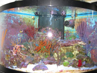 Picture 144.jpg