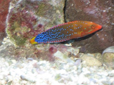 IMG_3369[2].jpg
