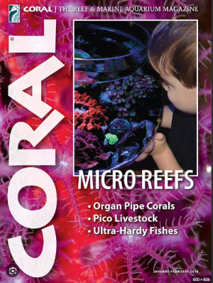 Screenshot 2026-02-05 164828.png