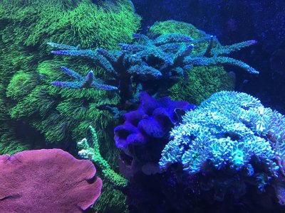 IMG_1028.jpeg