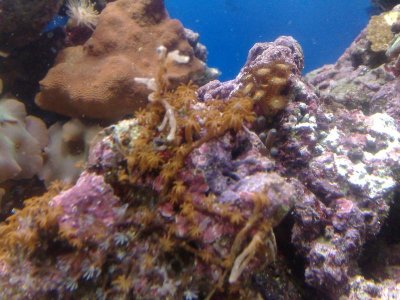 04072010865.jpg