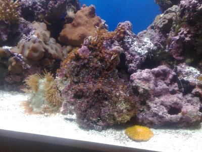 04072010866.jpg