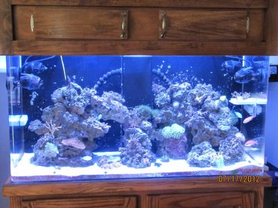 7-23-2010 030.jpg 7-23-2010 030.jpg