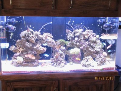 7-23-2010 037.jpg 7-23-2010 037.jpg