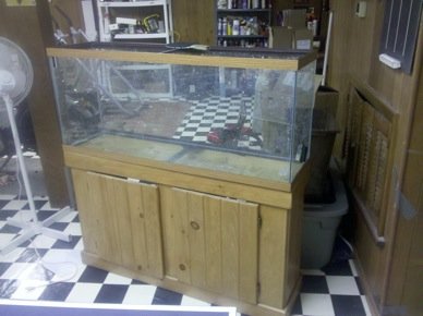 2010-07-05 18.33.13.jpg