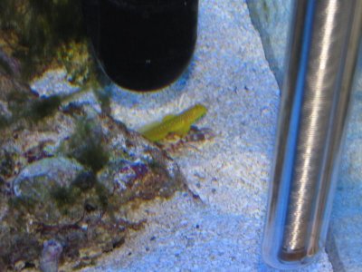 piggyback riding.jpg