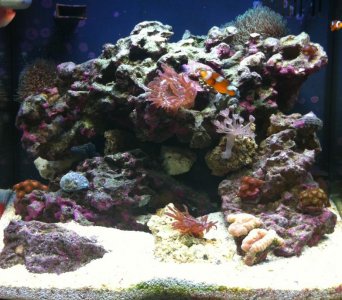 FTS 7-10 2.jpg