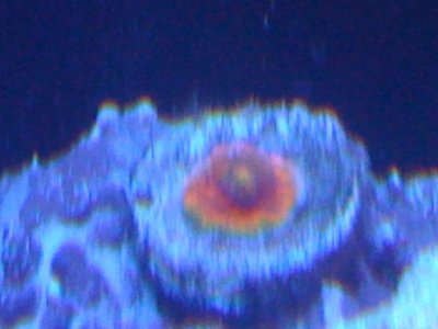 chalices 016.jpg