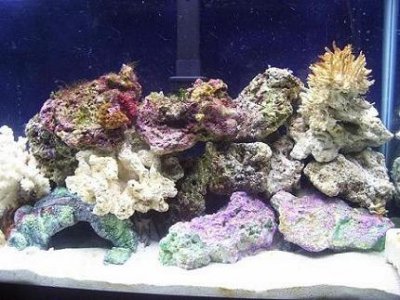 100_1355.JPG