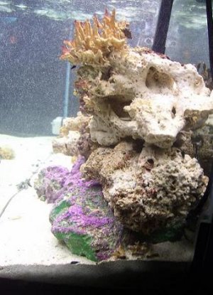 100_1357.JPG