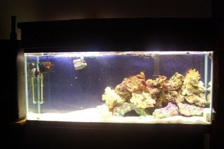 my%20tank22.JPG
