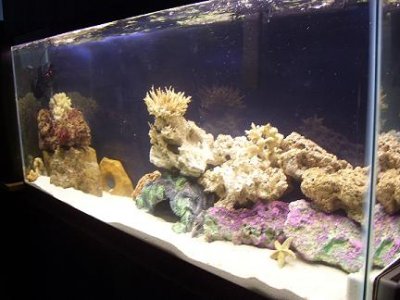 tank1.JPG