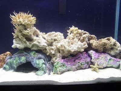 tank2.JPG