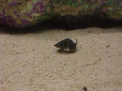 100_1365.JPG