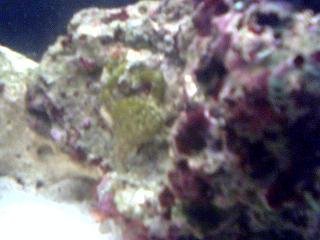 PICT0023.JPG