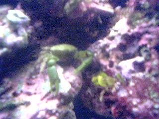 PICT0024.JPG