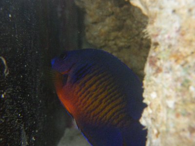IMG_0388.jpg