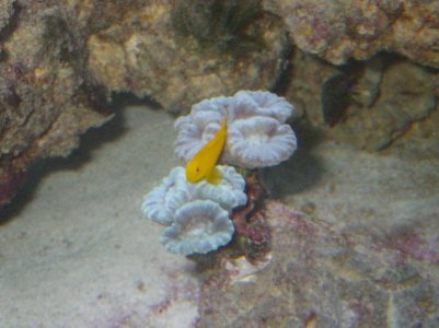 IMG_0389.jpg