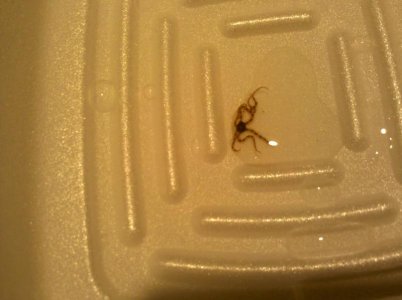 2010-07-09 01.41.29.jpg