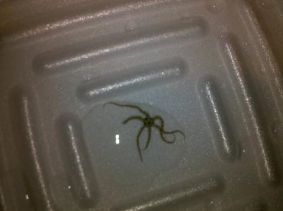 2010-07-09 01.42.30.jpg