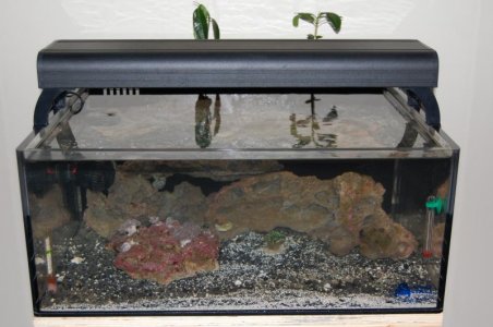 NewTank062510 (2).jpg