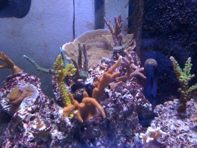 IMG_0149.jpg