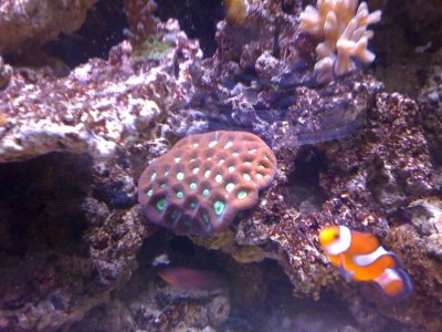 IMG_0151.jpg