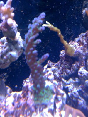 IMG_0154.jpg