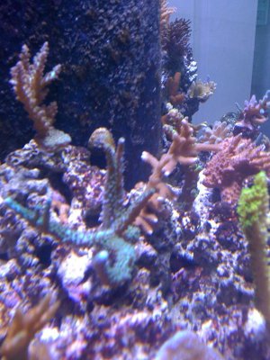 IMG_0161.jpg