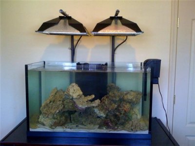 tank build 8.jpg