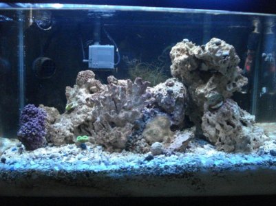 tank 2.jpg