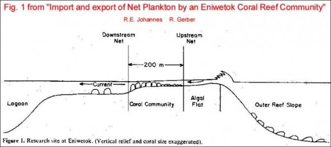 Import and export of net plankton Fig 1.jpg