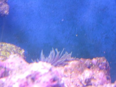DSCF0287.JPG