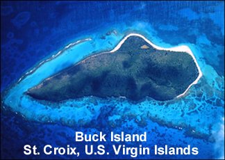 Buck Island.jpg