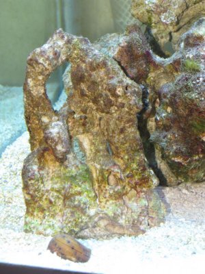 Peephole rock 7-13-10.jpg