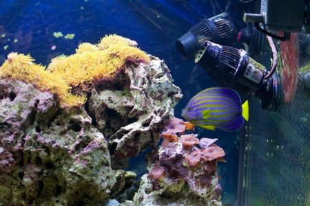 IMG_4265 12-48-48.jpg