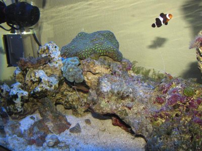 the new look 8-2-10.jpg