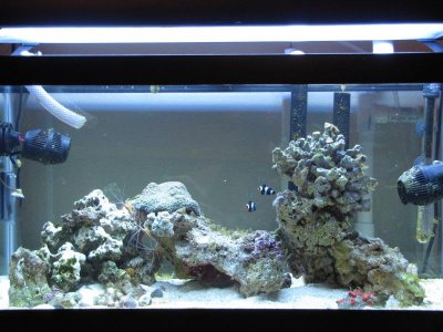 Full Tank 8-2-10.jpg