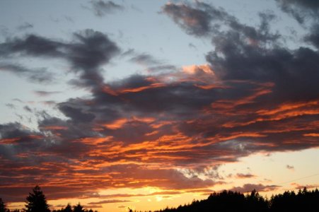 IMG_0835.jpg