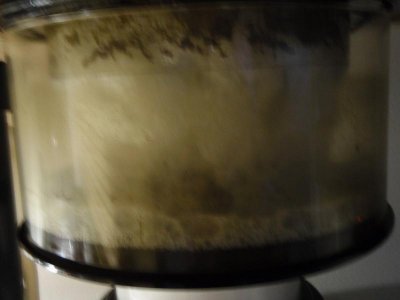 P1010174.jpg