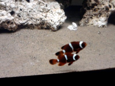 Photo0077.jpg Photo0077.jpg